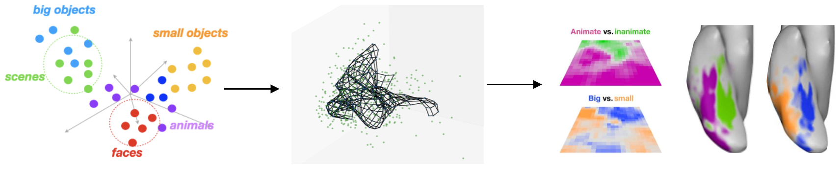 Smooth mapping of a deep-neural network feature space, Doshi & Konkle (2023)